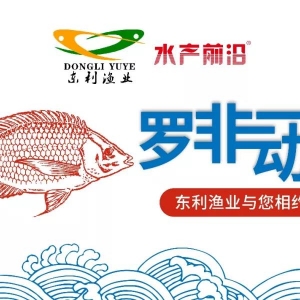 һƬ�t���_���~�r(ji��)���ٝq��