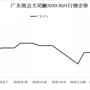 ţ�����M�𱬣��t�~�_8����������