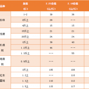 ʯ���~�ϝq3Ԫ/��Ј�(ch��ng)ȱ؛��ȱ��Ҏ(gu��)���~��