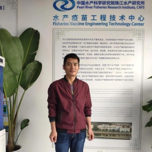 �~��������ͨ�^���B�ֶ��M�пƌW������