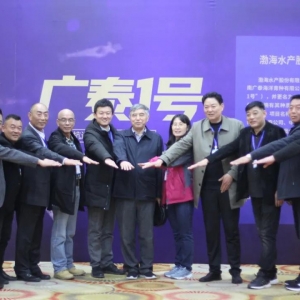 �������硱��Ҫ�����؁������߿��r�磬����ԓ��ô�x��