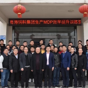 �������ރ�(n��i)�����T��I(y��)��