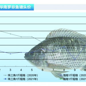 �_���~�����a�^؛Դ��ȱ���Ј����S�ԝq�r������ˮ�aǰ�ء�2021��2�¿��Ј�څ��