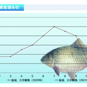 �a�~(y��)��Ԫ����������F(xi��n)��ů��������y���^�󷴏�������ˮ�a(ch��n)ǰ�ء�2021��2�¿��Ј�(ch��ng)څ��(sh��)