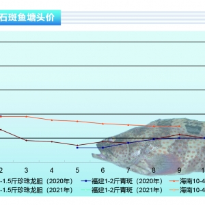 ʯ���~����q����䣬�Ј���̎�֏��ڡ�����ˮ�aǰ�ء�2021��2�¿��Ј�څ��