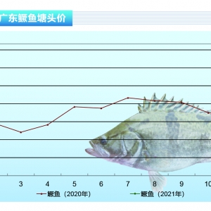 �Z�~����ϯȡ�����۲͜p�����Z�~����һƬ���ԡ�����ˮ�a(ch��n)ǰ�ء�2021��2�¿��Ј�څ��