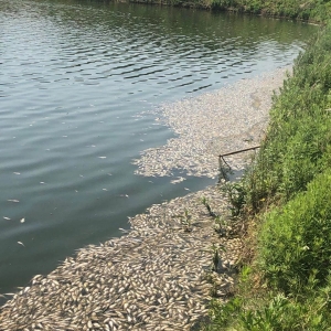 �l(f��)�����~��ݛ�����ȫ����ذl(f��)����(y��ng)�����ش�ʩ