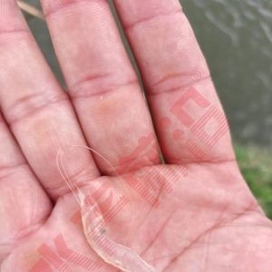 �l����Ȧ���B�r�υ^����߳�������