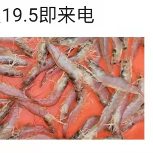 ���r��(ji��)ǰ�q�����m(x��)���r�rȫ���h�t | 2021��5��1�Ռ��r���^��r