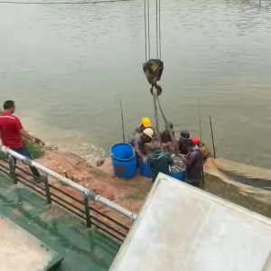 �����[�~�ġ������~��ܣ����~�ֱ��q1.7Ԫ