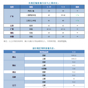 �Z�~ӭ�y�ú��У�Ͷ��e�O�ԅs���_�A�� | 2021��5��6�չ��~���^��r