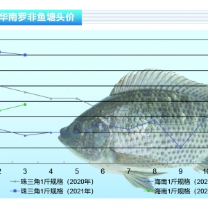 �_���~�������½������~�y�󡪡���ˮ�aǰ�ء�2021��4�¿��Ј�څ��