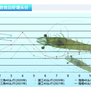 ���r���_ʼȱ�r����������Ȼƽ��������ˮ�aǰ�ء�2021��4�¿��Ј�څ��