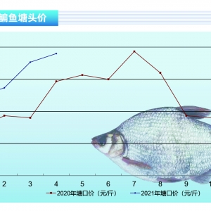 ���~��������Ѯ���鷀������ѮѸ������������ˮ�aǰ�ء�2021��5�¿��Ј�څ��