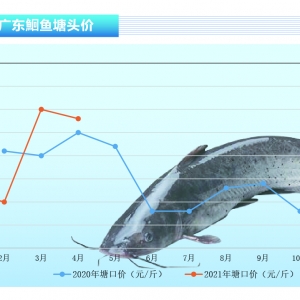 �t�~���~����l���t�~�Ãr��Ҫ�������桪����ˮ�aǰ�ء�2021��5�¿��Ј�څ��