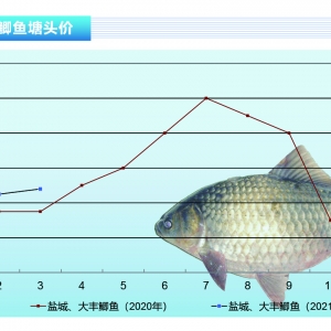 �a�~(y��)���S���aҲӭ��(l��i)���С�����ˮ�a(ch��n)ǰ�ء�2021��5�¿��Ј�(ch��ng)څ��(sh��)