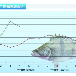 �Z�~���r��������������w������3Ԫ/�����ˮ�a(ch��n)ǰ�ء�2021��5�¿��Ј�څ��