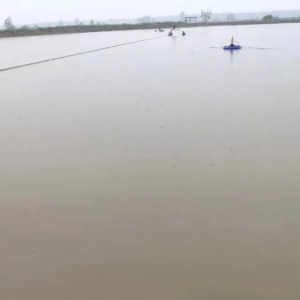 �����Q�y�}����ˮ׃������