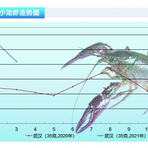 С���r���r������Ӹ߲��£���Ʒ�r���m(x��)�𱬡�����ˮ�a(ch��n)ǰ�ء�2021��4�¿��Ј�(ch��ng)څ��(sh��)