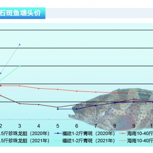 ʯ���~��ȱ�~���S�ָ߃r(ji��)λ��һ��(g��)�¡�����ˮ�a(ch��n)ǰ�ء�2021��4�¿��Ј�(ch��ng)څ��(sh��)