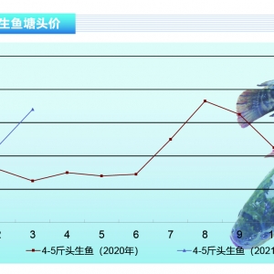 ���~���~�rһ·��ã���Ҫע�⼯�г��~������ˮ�aǰ�ء�2021��4�¿��Ј�څ��