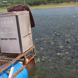 ���E���_�ǳ���50������4��7��​