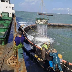 δ���S��a�I���пɞ飡5��18��տ���gӭ�����\�lչ֮·��