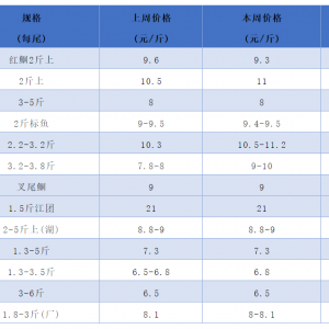 ȱ�~���t�~����͝q2Ԫ/�