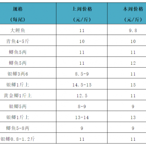 �a�~�^�m�Ãr���������ց���