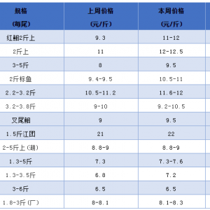 �q����߽�3Ԫ���t�~�r��ȫ���͝q