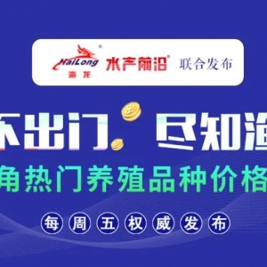 ���~���������S��(w��n)�������µ����@