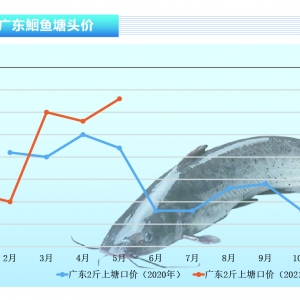 �t�~���~����l���t�~�Ãr��Ҫ�������桪����ˮ�aǰ�ء�2021��6�¿��Ј�څ��