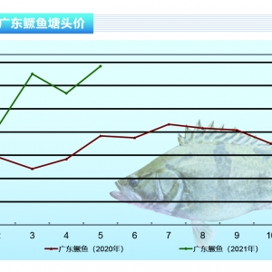 �Z�~��ƫ���~�ɟo�r֮�������q5Ԫ/�����ˮ�a(ch��n)ǰ�ء�2021��6�¿��Ј�څ��