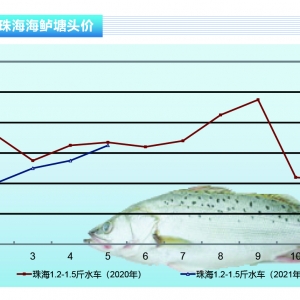 ���|���Ј�ȱҎ���~���~�r�����Нq������ˮ�aǰ�ء�2021��6�¿��Ј�څ��