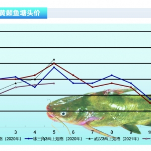 �S��~������Σ����ȥ���Ј�(ch��ng)ȱ���~�~�r(ji��)���{(di��o)������ˮ�a(ch��n)ǰ�ء�2021��6�¿��Ј�(ch��ng)څ��(sh��)