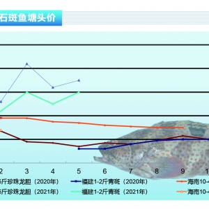 ʯ���~��5����Ѯ�~�r(ji��)�����_�q������ˮ�a(ch��n)ǰ�ء�2021��6�¿��Ј�(ch��ng)څ��(sh��)