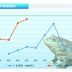 ţ�ܣ��Ј�(ch��ng)ȱ�ܣ��Ј�(ch��ng)���F(xi��n)��Ҋ�ĳ��m(x��)�߃r(ji��)������ˮ�a(ch��n)ǰ�ء�2021��6�¿��Ј�(ch��ng)څ��(sh��)