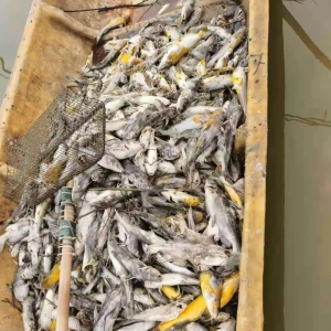 ���͡���ħ���ּ��l(f��)���S��~�ֵذl(f��)����60%��