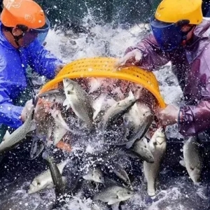 ���׽����|�������к������͌����أ�