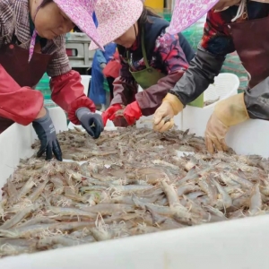 �~�С�é�_(t��i)��Ҫ�𣡿��c�r���B(y��ng)����ģʽ�����ɹ�