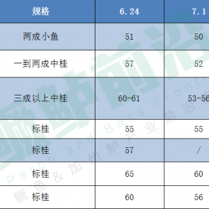 �Z�~һ���±��q20Ԫ/���һ�ܱ���7Ԫ��