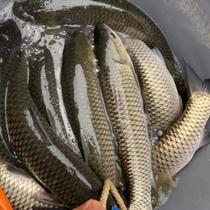 ȱ�~�����~�j��12Ԫ/��ٍ���X | 2021��7��8�ղ��~���^�r(ji��)��