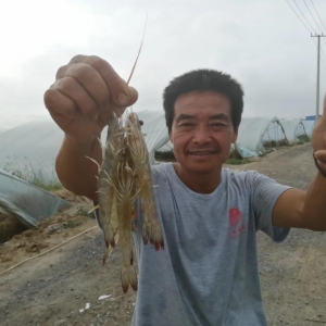 70��С���B(y��ng)�r����ٍ��600�f��