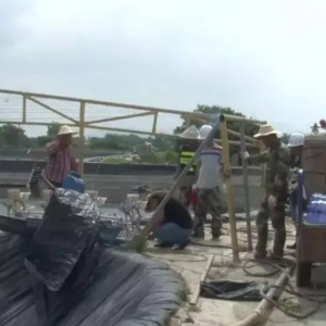 ���½��B(y��ng)��V�|����1500��ˮ�漴������