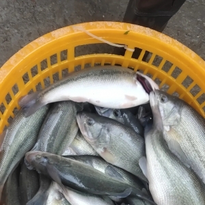 ����»���2021��7��12�ո��ؼ����|�������^��r