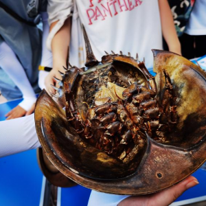 ������W(xu��)��W(xu��)�����ڡ������l(xi��ng)�����c�o(h��)�c�����o(h��)�҈@