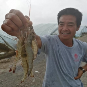 �漼�g�ɣ���a3000��ĸ��֣����@���B�r��