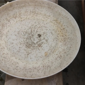 Ѫ̝�� 150�f�����|ˮ������͛]�ˣ���Ӗ�Kʹ��