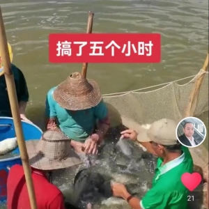 ���o���B���~������϶��]Ҋ�^��