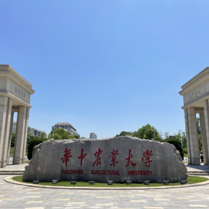 �ٿ����·������I��������